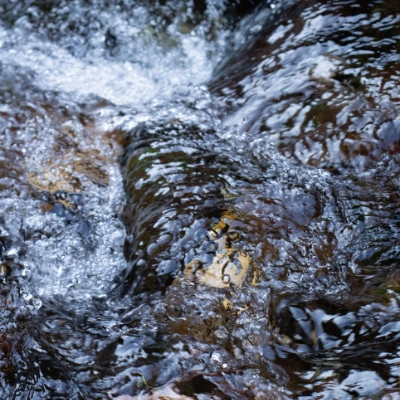 写真科-作品05