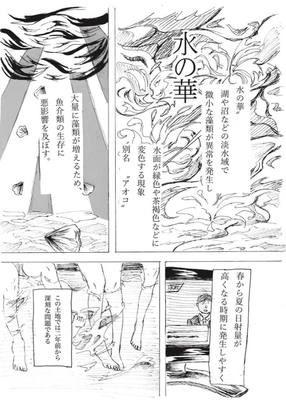 作品名：水の華